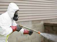 Pest Control & Inspection in California